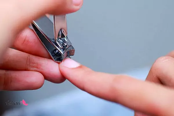 ناخن گیرها چطور کار میکنند